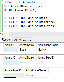Results from performing a simple update against the view