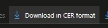 Option shown in the key vault to download a copy of the public certificate in CER format